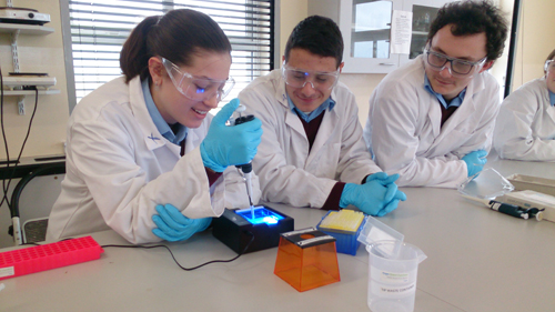 Student loading DNA samples as part of DNA profiling experiment.