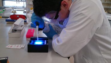 using micropipettes during DNA profiling experiments as part of the Amgen Biotech Experience.
